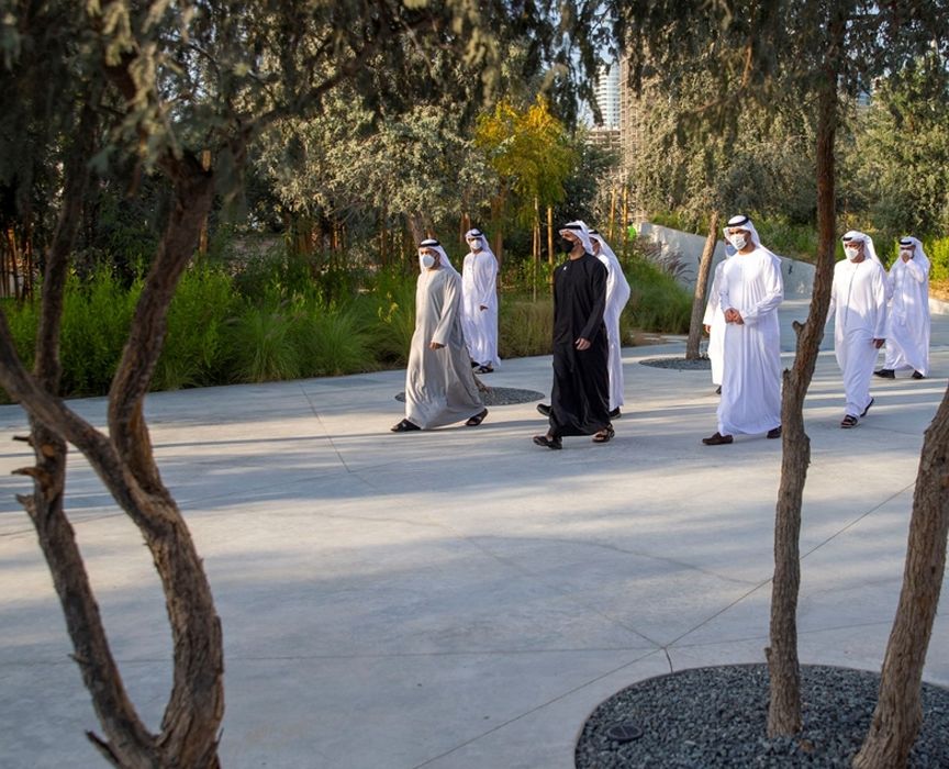 King Khalid Road Afforestation 