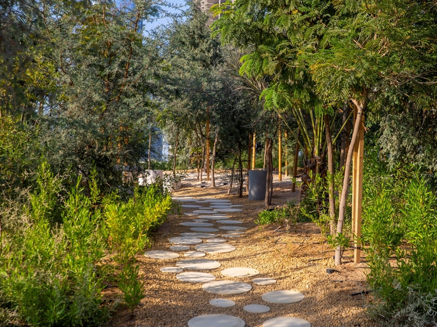 Makkah Road Afforestation 